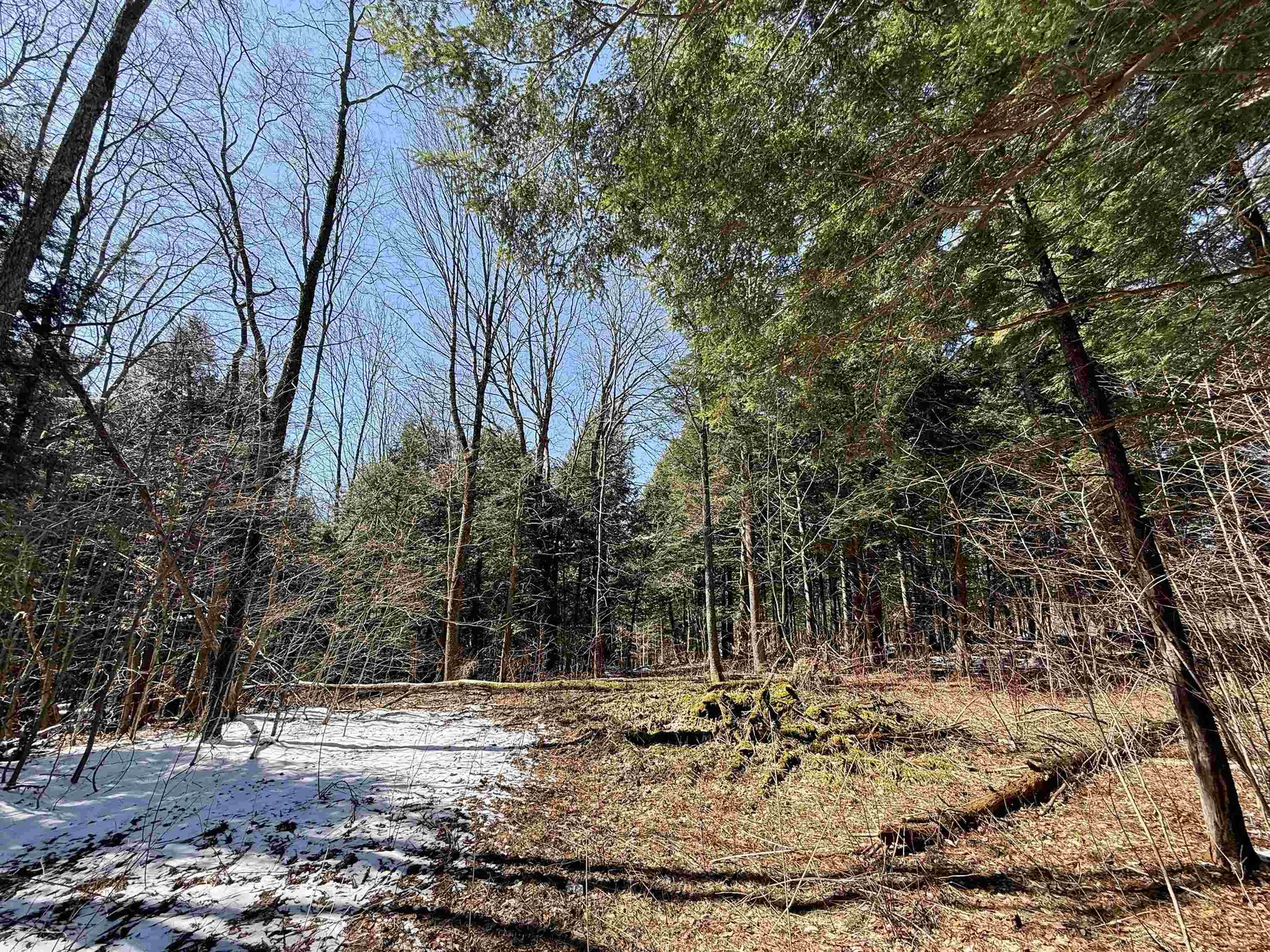 Tbd Plot Road Johnson VT 05656