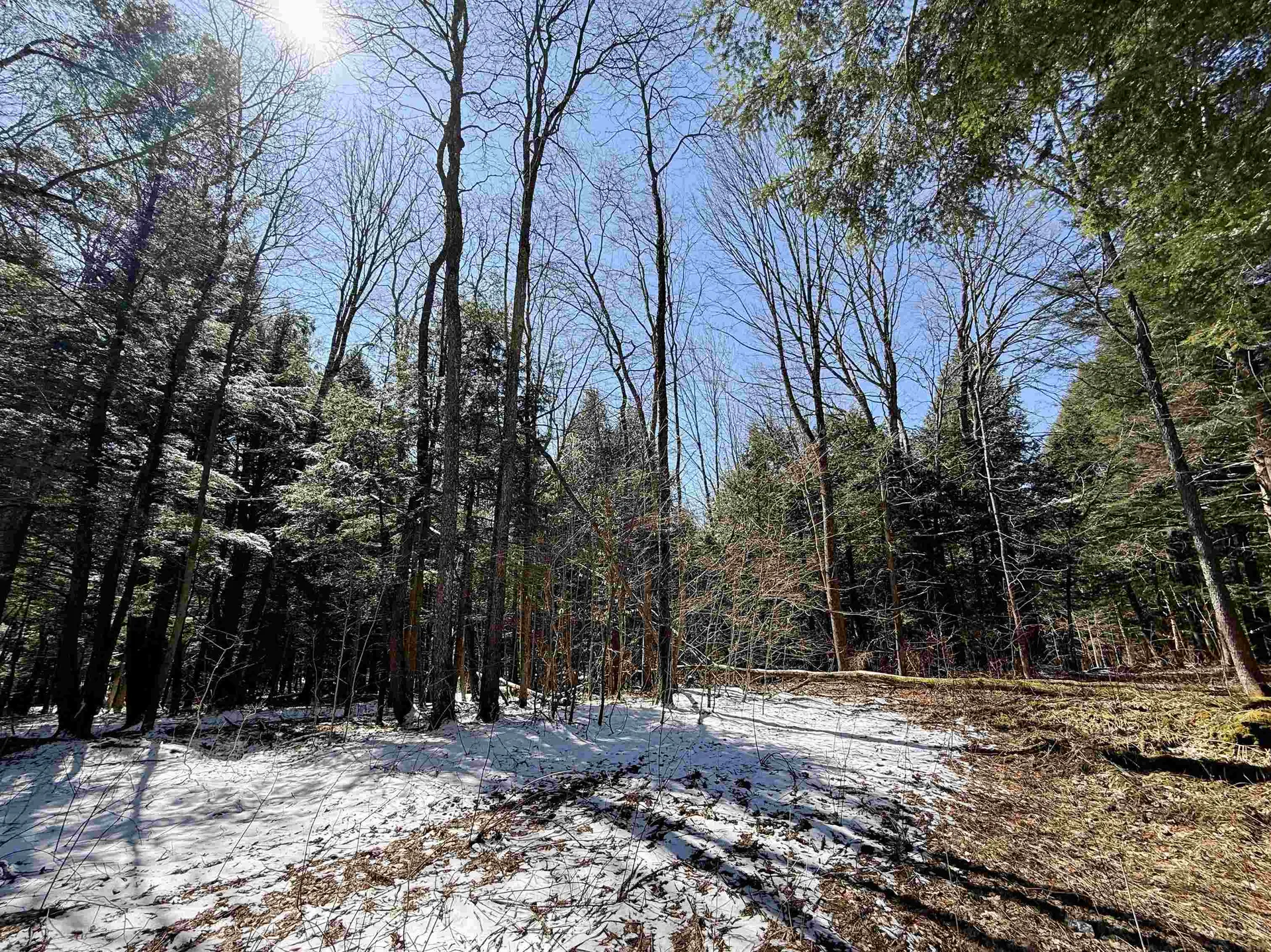 Tbd Plot Road Johnson VT 05656