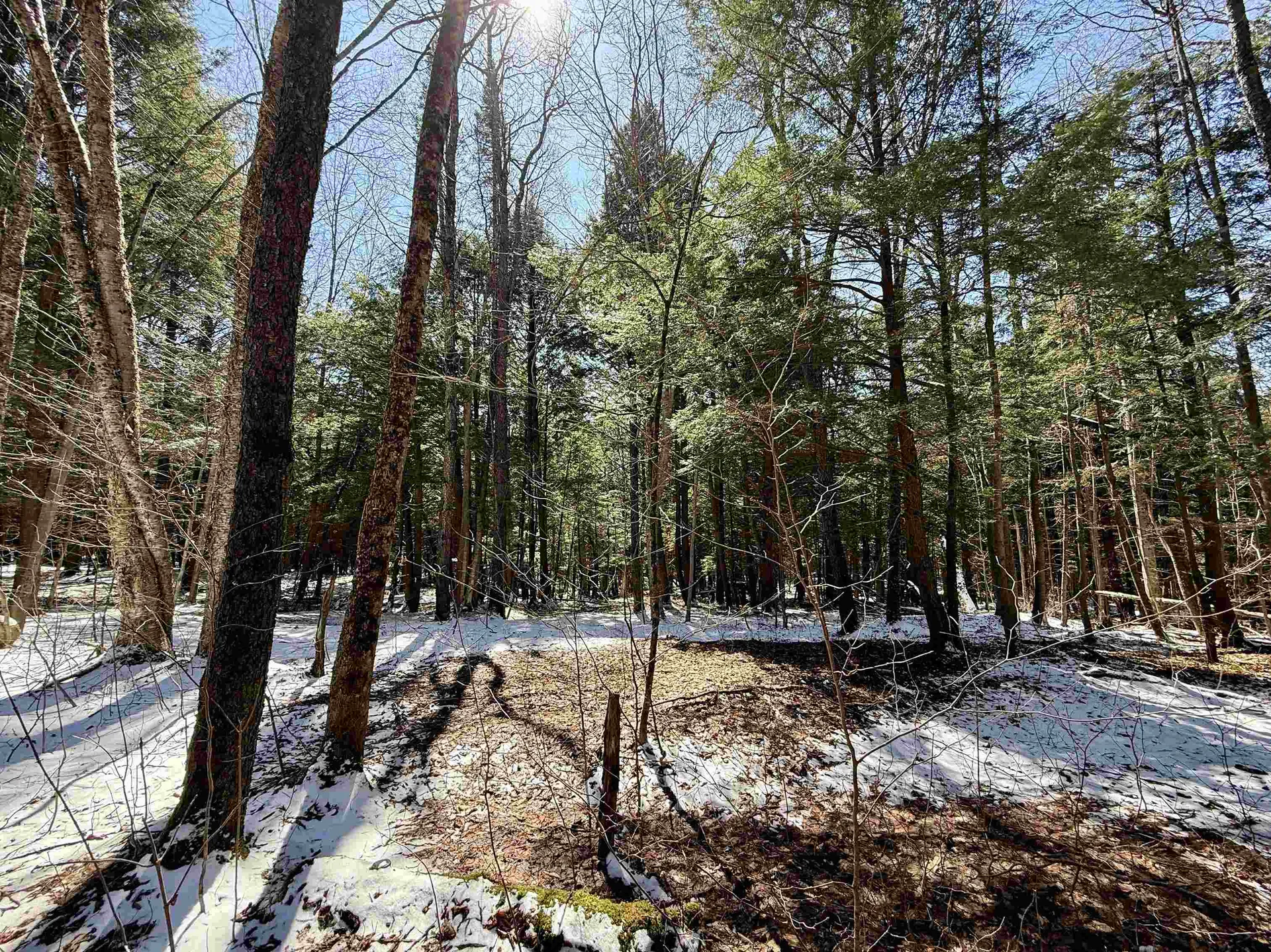 Tbd Plot Road Johnson VT 05656