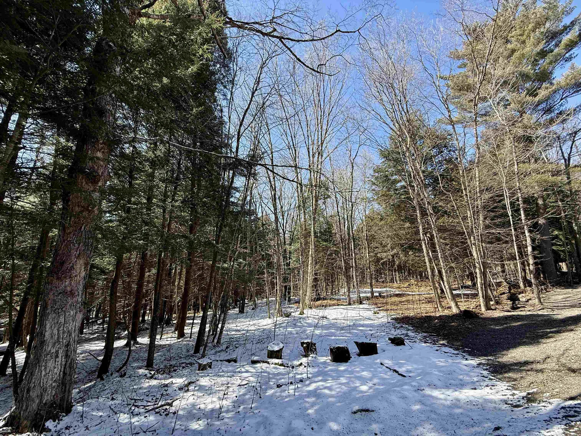 Tbd Plot Road Johnson VT 05656