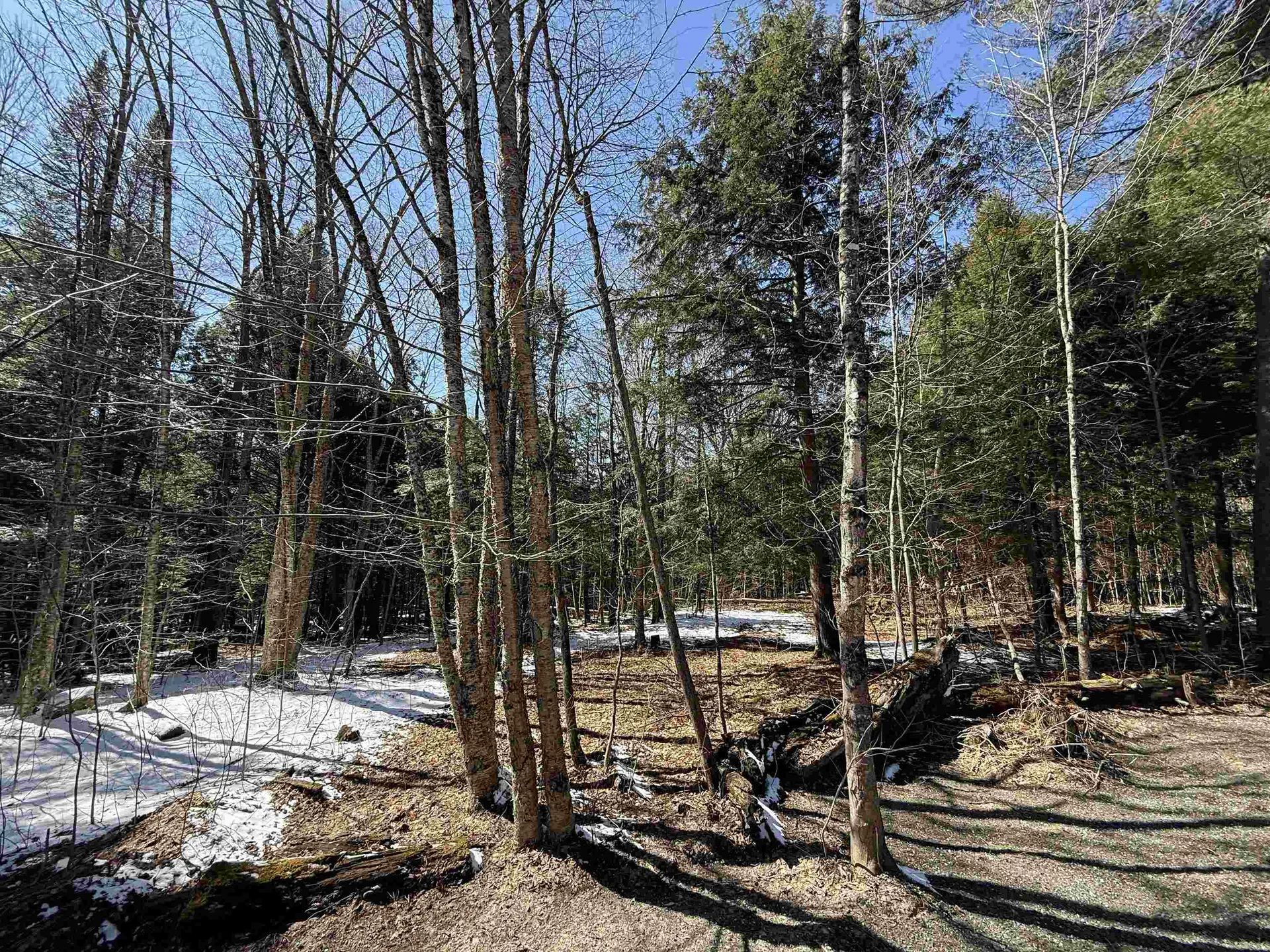 Tbd Plot Road Johnson VT 05656