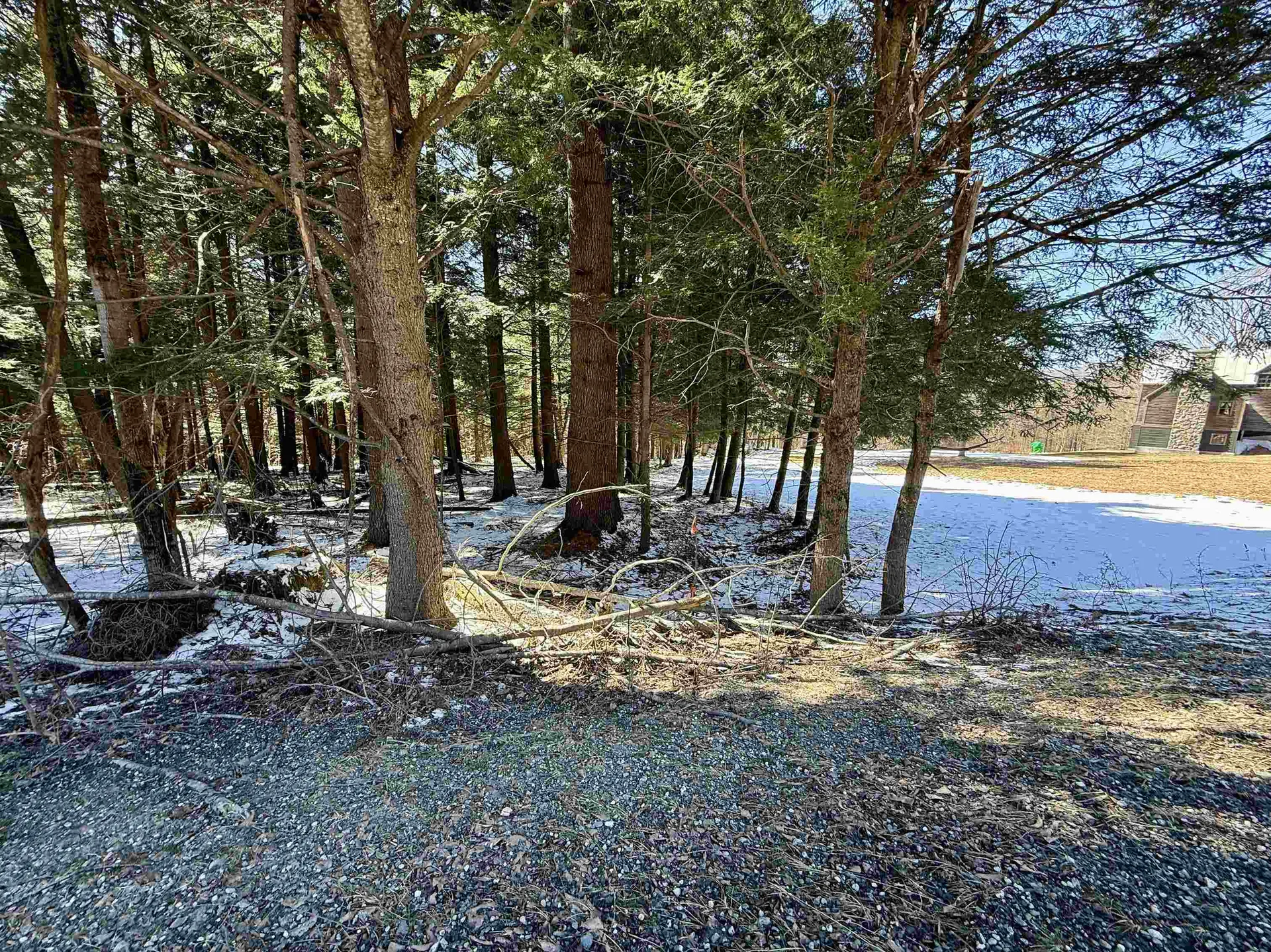 Tbd Plot Road Johnson VT 05656