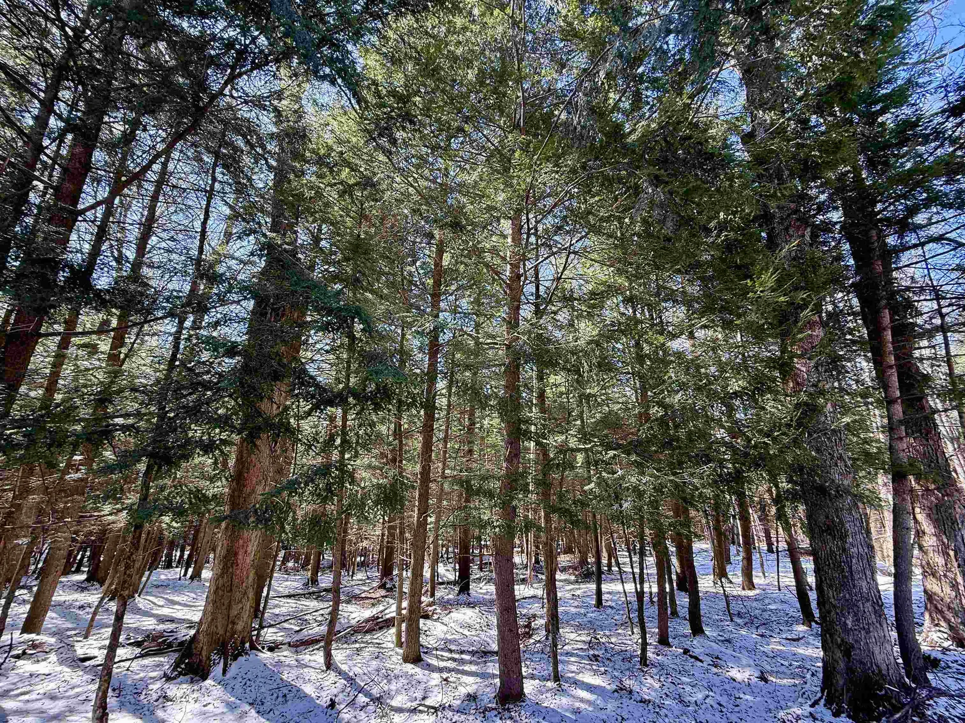 Tbd Plot Road Johnson VT 05656