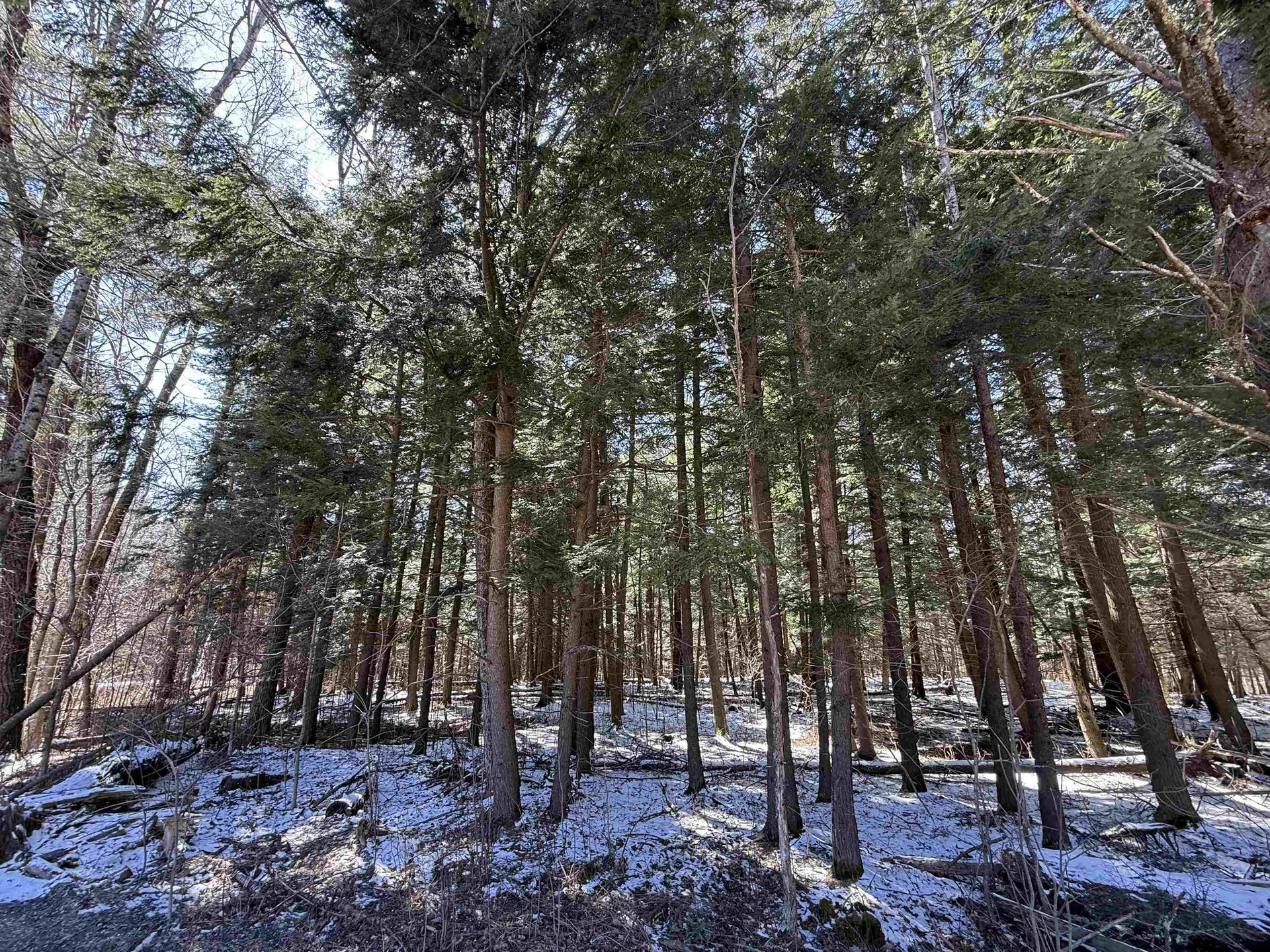 Tbd Plot Road Johnson VT 05656