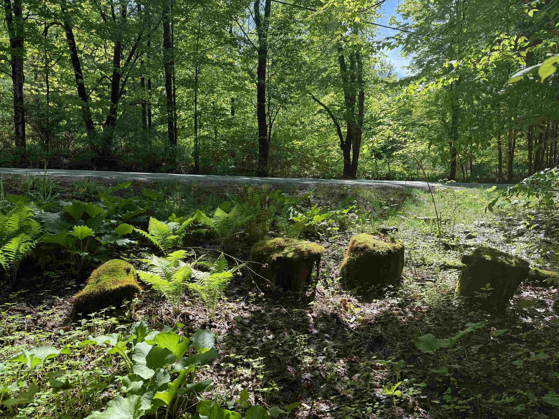 Tbd Plot Road Johnson VT 05656