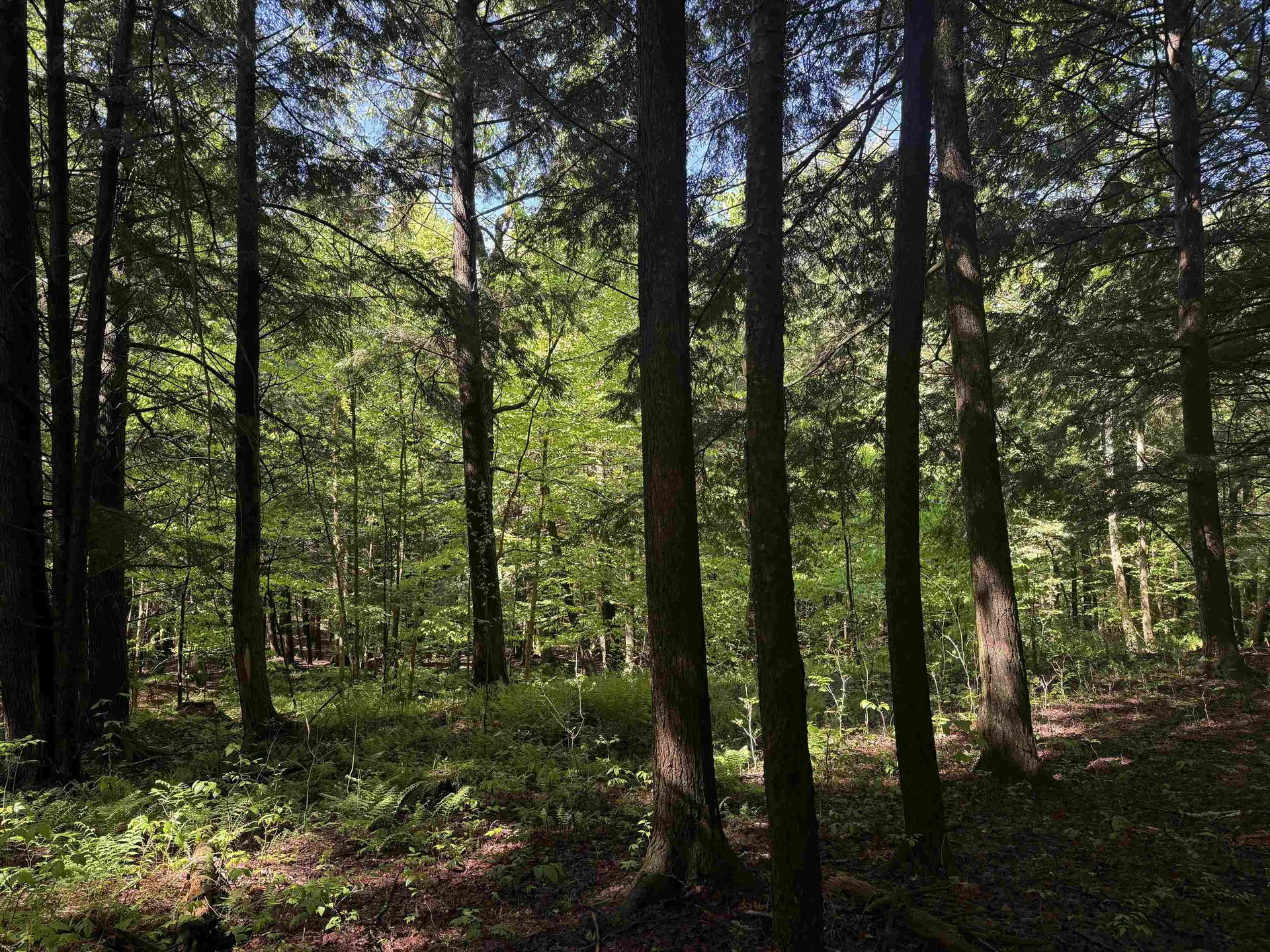 Tbd Plot Road Johnson VT 05656