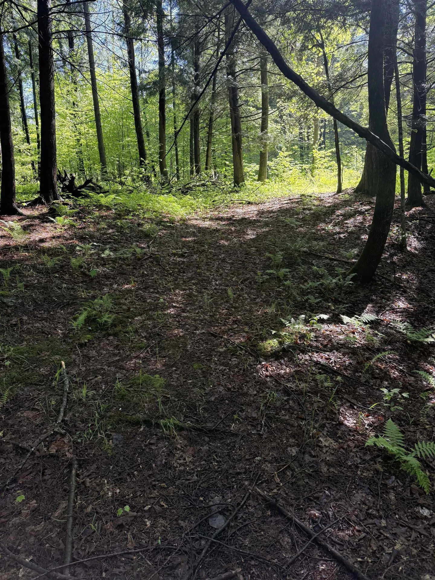 Tbd Plot Road Johnson VT 05656