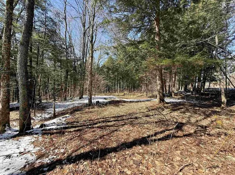 Tbd Plot Road Johnson VT 05656