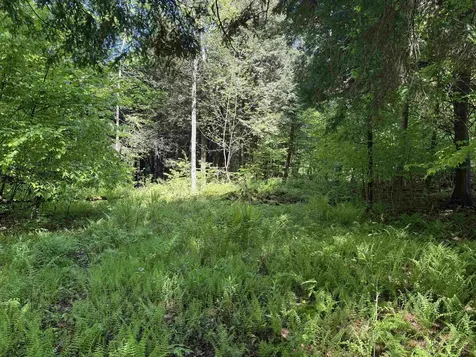 Tbd Plot Road Johnson VT 05656