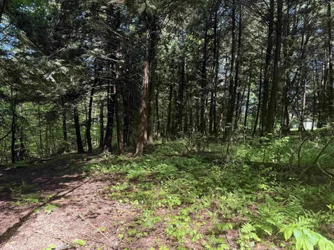 Tbd Plot Road Johnson VT 05656