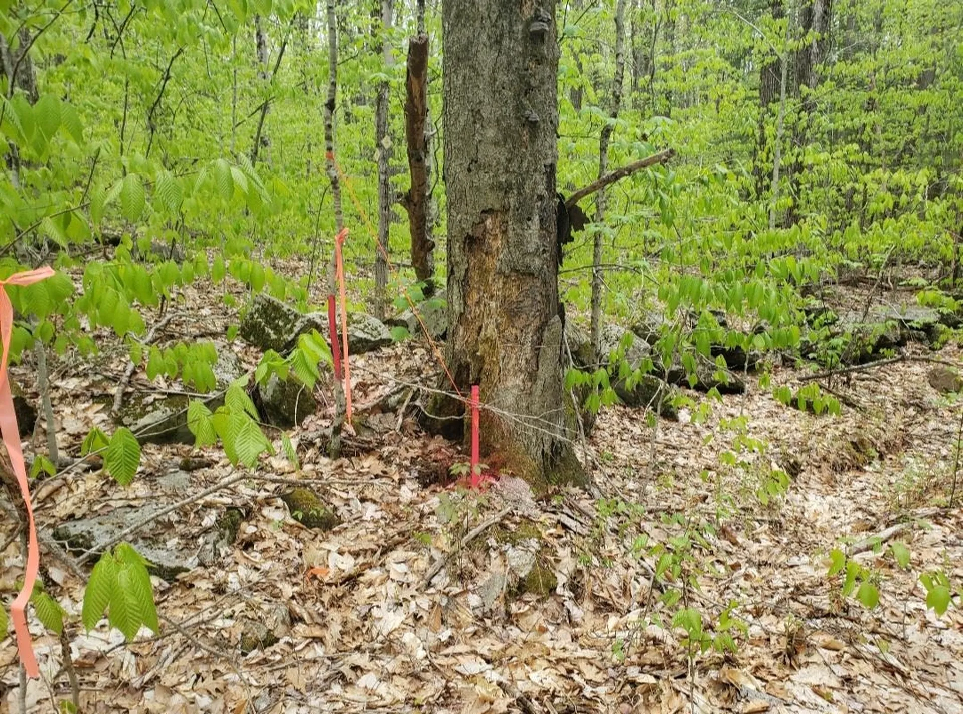 0 Old Gilsum Road Keene NH 03431