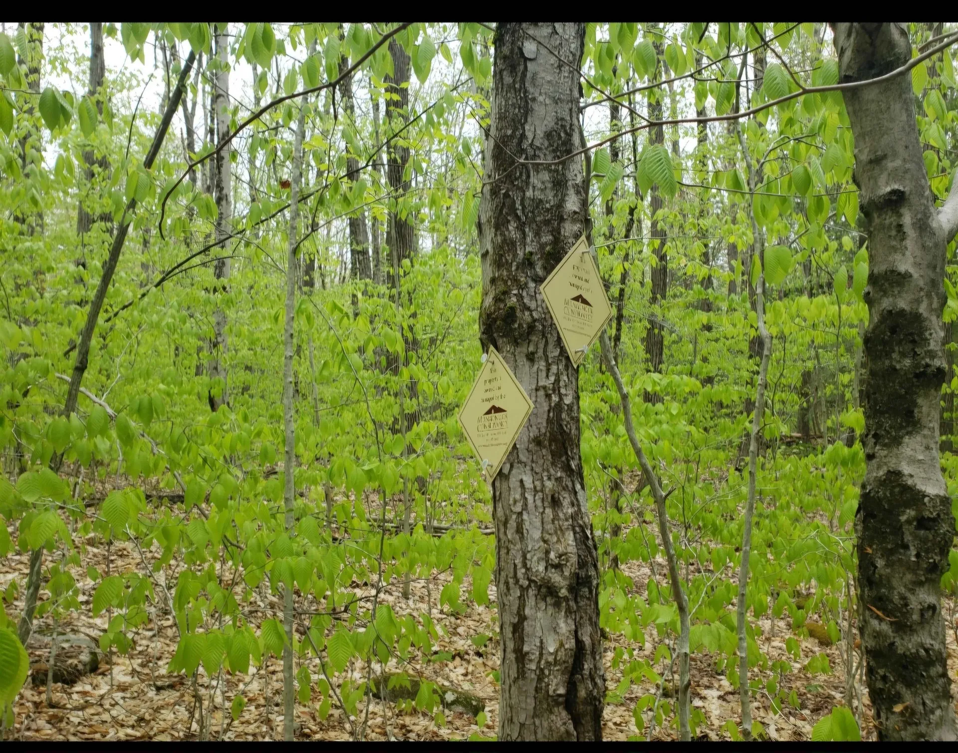 0 Old Gilsum Road Keene NH 03431