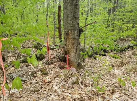 0 Old Gilsum Road Keene NH 03431