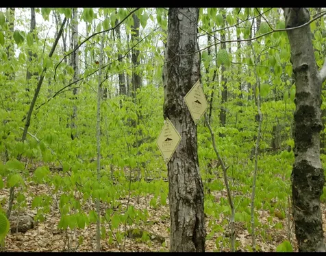 0 Old Gilsum Road Keene NH 03431