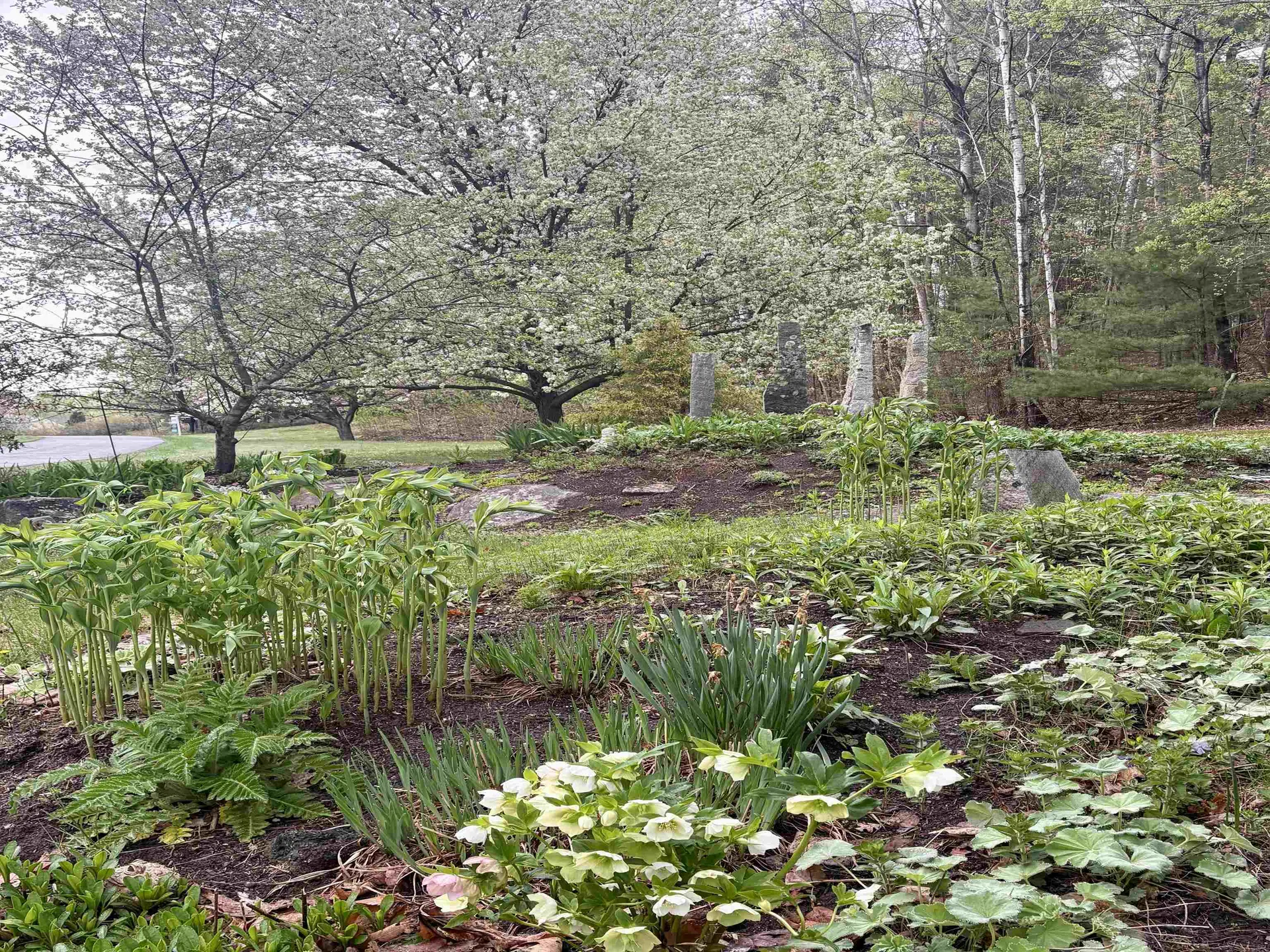 110 Sky View Drive Pelham NH 03076