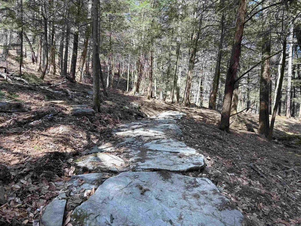 954 Butternut Hill Road Waitsfield VT 05673