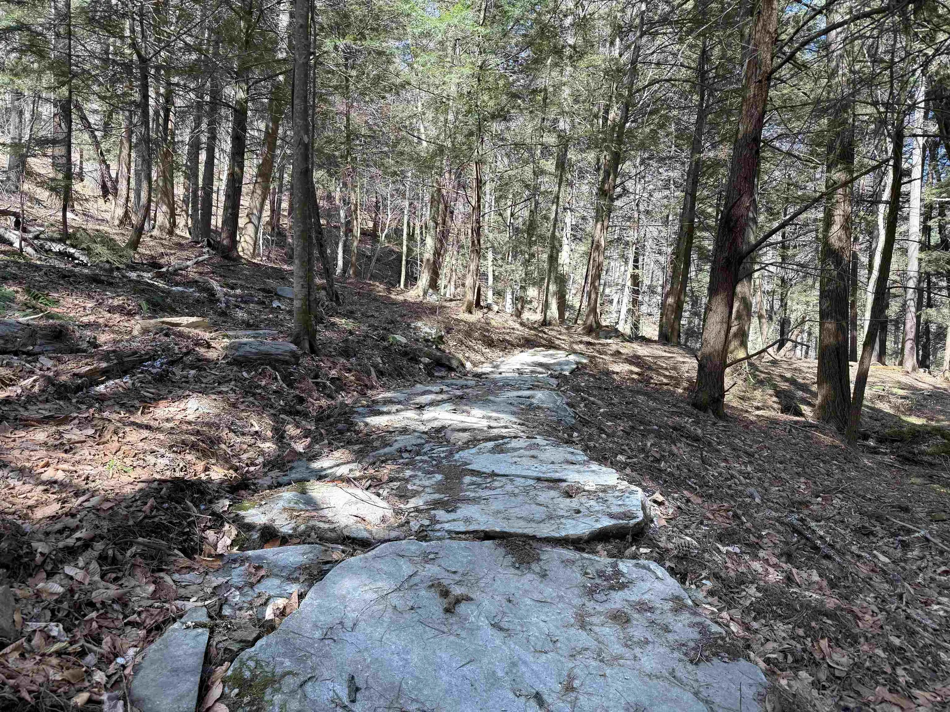 954 Butternut Hill Road Waitsfield VT 05673