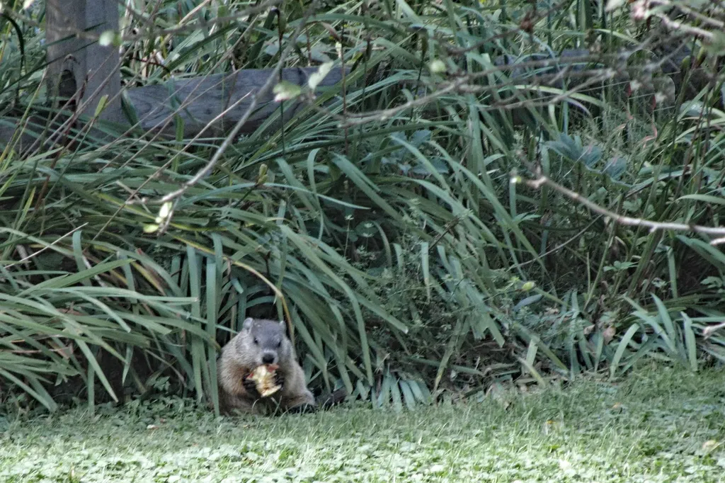 105 Brook Hollow Hanover NH 03755