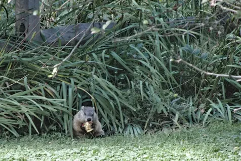 105 Brook Hollow Hanover NH 03755