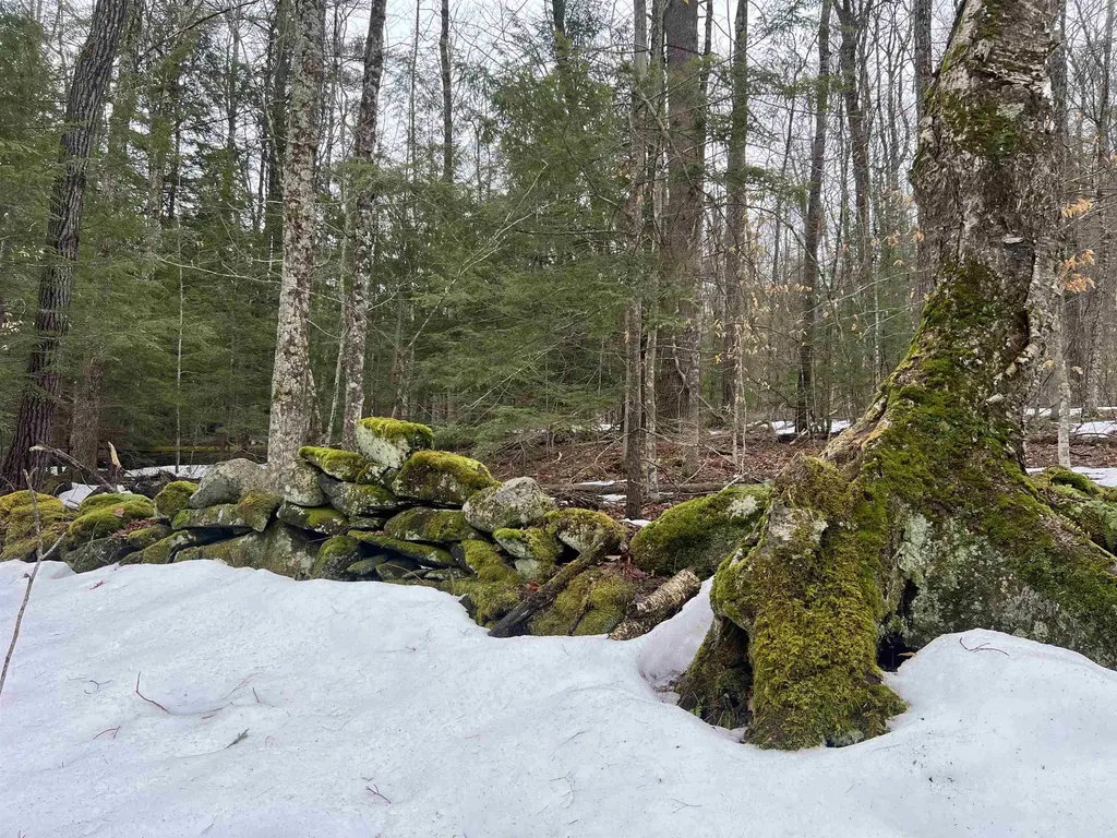 355 Bemis Hill Road Westminster VT 05158