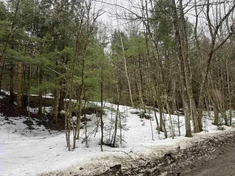 355 Bemis Hill Road Westminster VT 05158