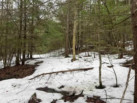 355 Bemis Hill Road Westminster VT 05158