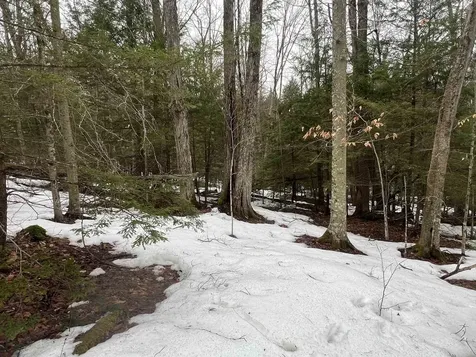 355 Bemis Hill Road Westminster VT 05158