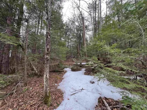 355 Bemis Hill Road Westminster VT 05158