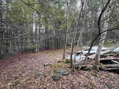 355 Bemis Hill Road Westminster VT 05158