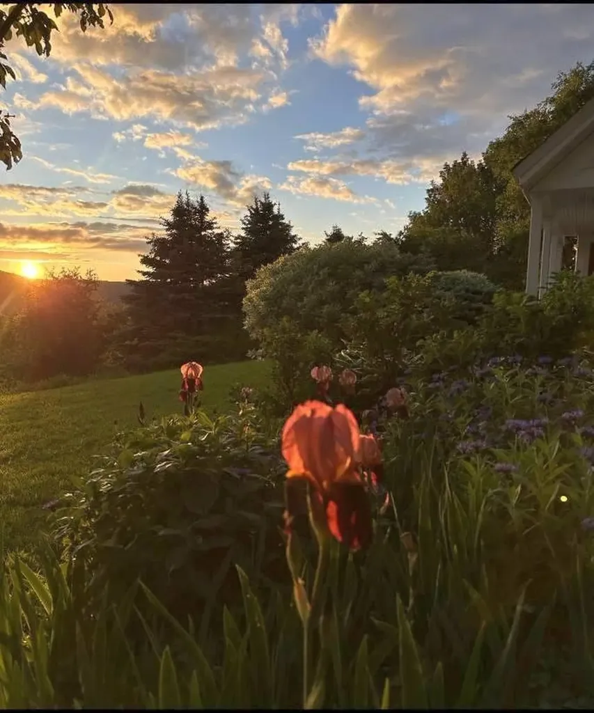 5118 Mack Mountain Road Cabot VT 05647