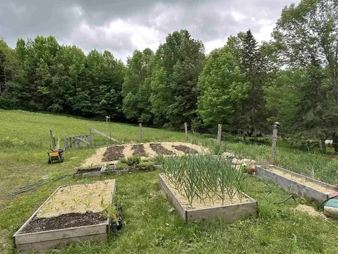 5118 Mack Mountain Road Cabot VT 05647