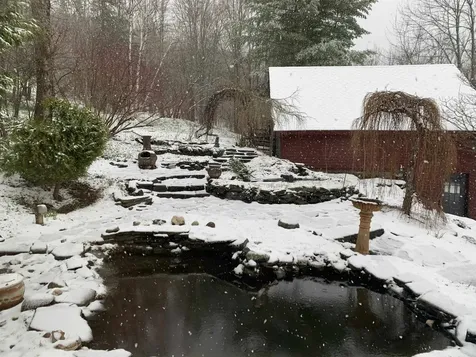 5118 Mack Mountain Road Cabot VT 05647