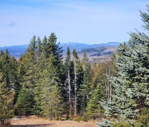 5118 Mack Mountain Road Cabot VT 05647