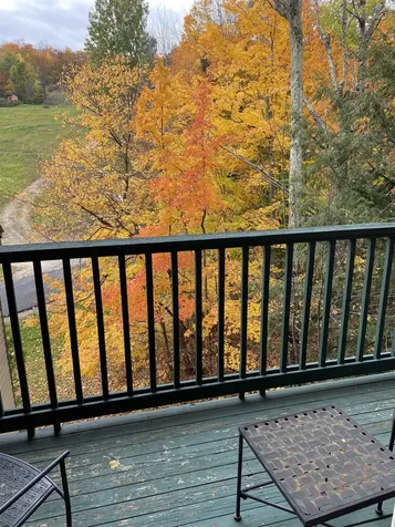 201/03 Qt.3, 89 Grand Summit Way Dover VT 05356