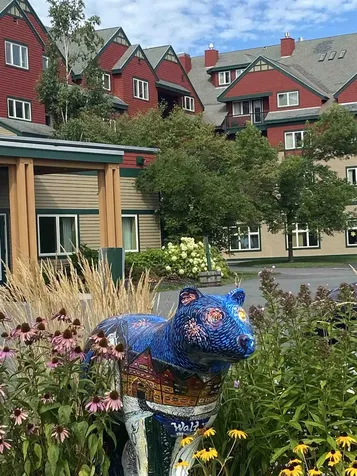 201/03 Qt.3, 89 Grand Summit Way Dover VT 05356