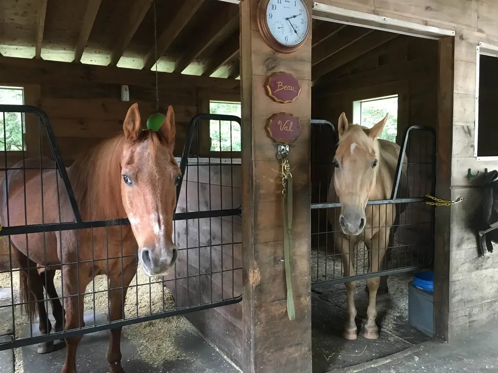 17 Ingalls Road Pittsfield NH 03263