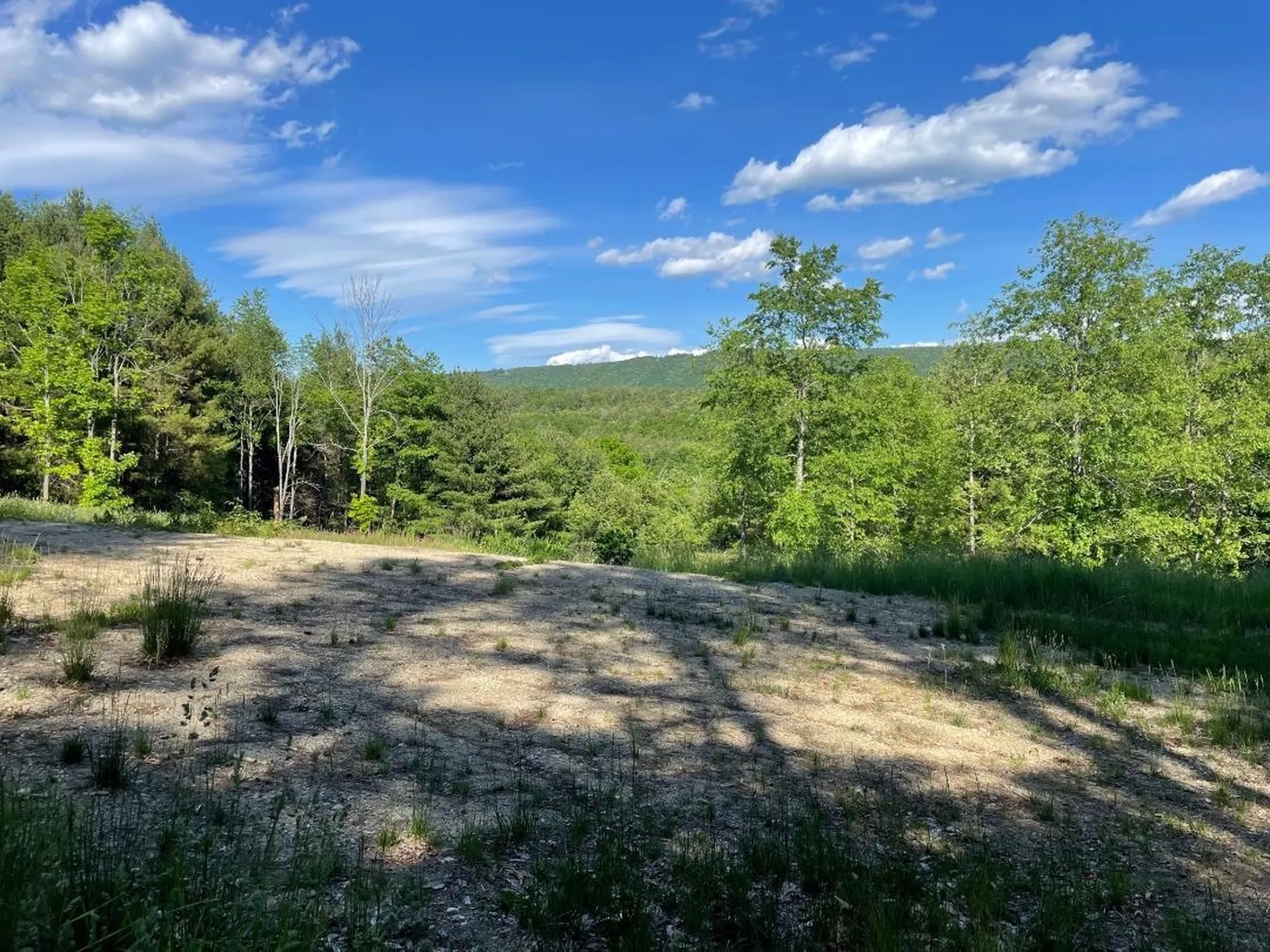 00 Hill Road Brookline VT 05345