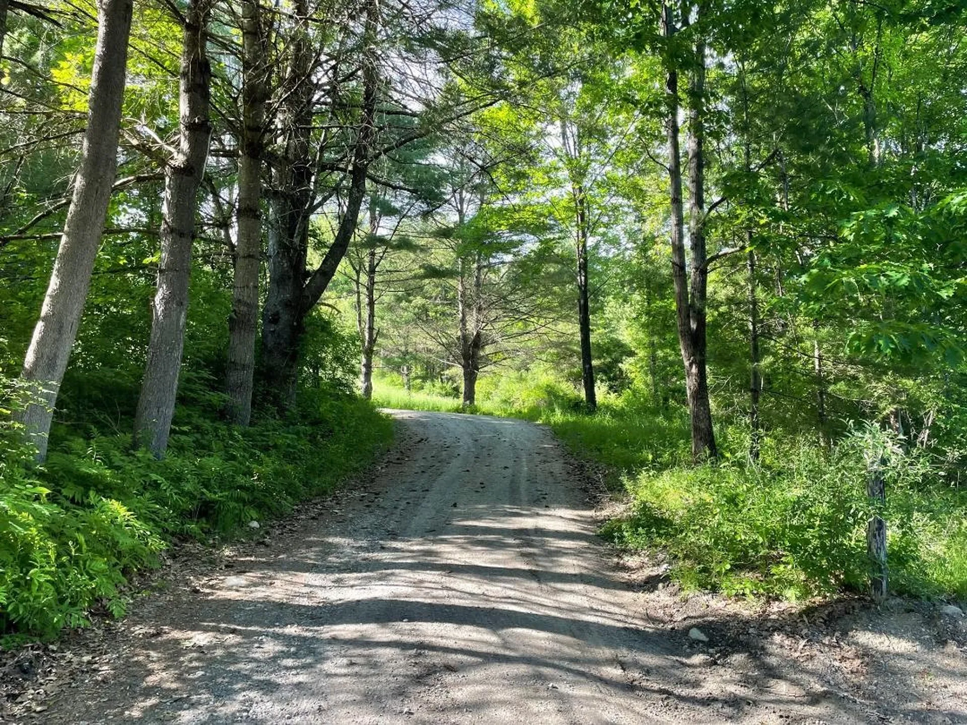 00 Hill Road Brookline VT 05345