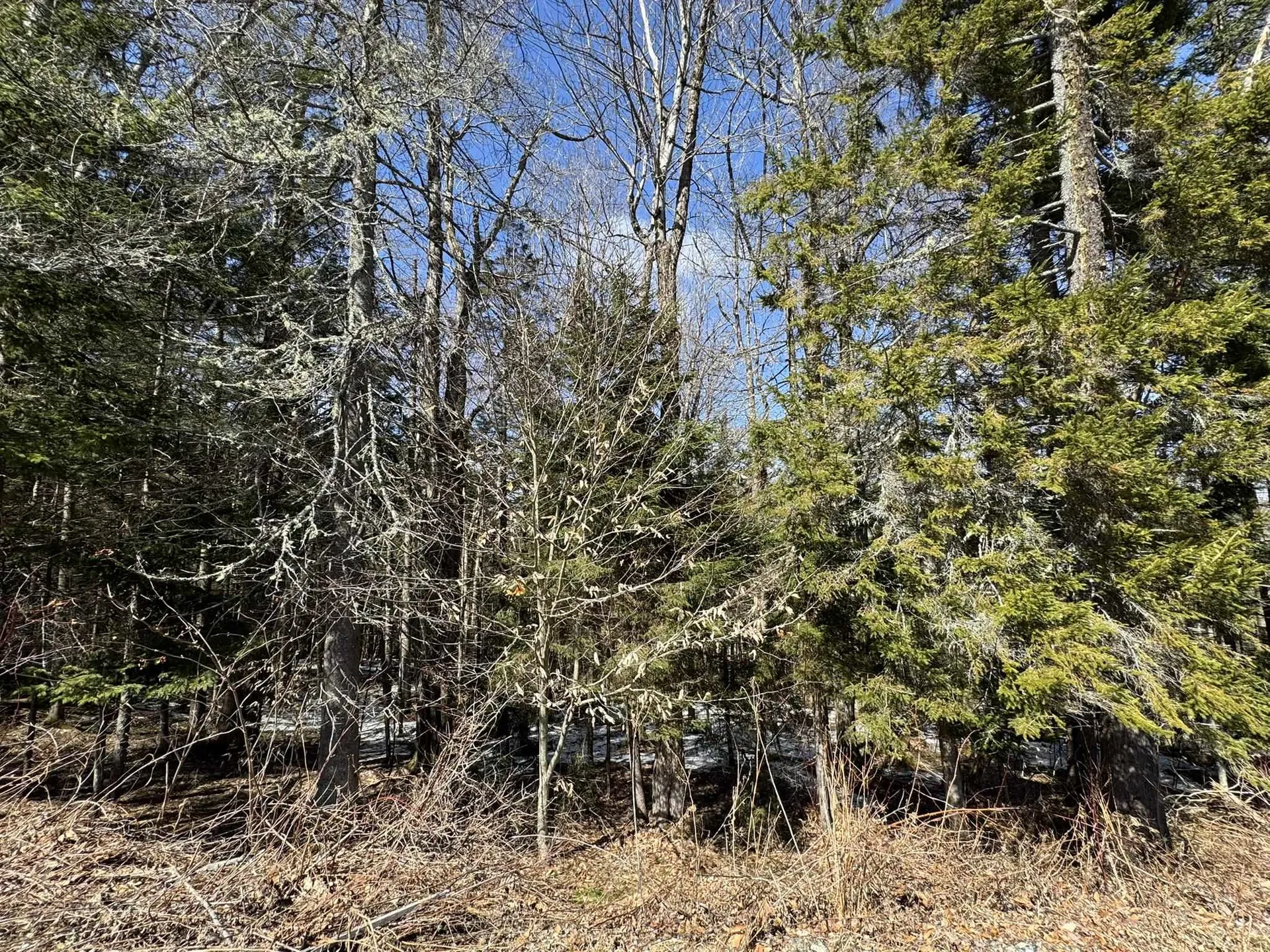 Lot 4 Ghastly Job Way Wilmington VT 05363