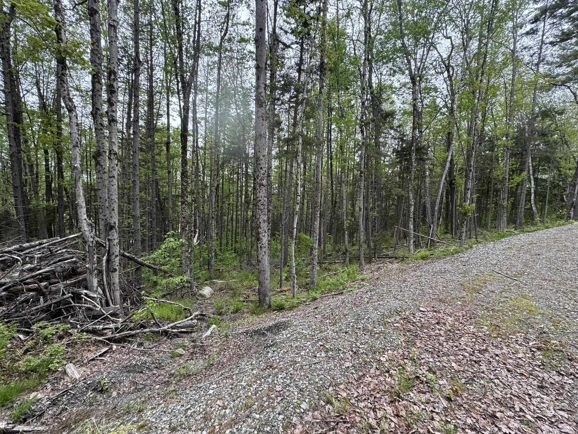 Lot 4 Ghastly Job Way Wilmington VT 05363