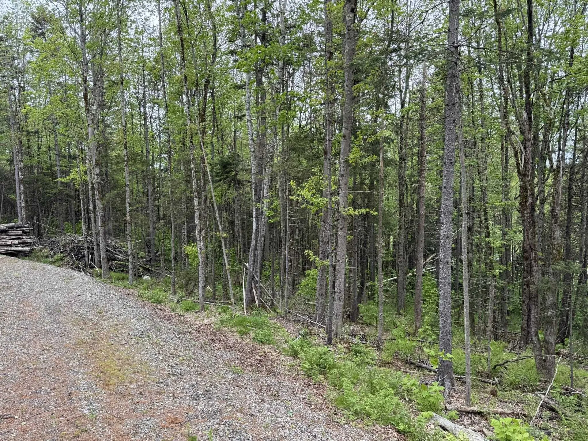 Lot 4 Ghastly Job Way Wilmington VT 05363