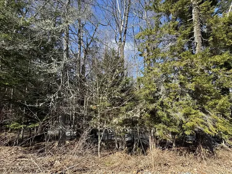 Lot 4 Ghastly Job Way Wilmington VT 05363
