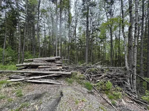 Lot 4 Ghastly Job Way Wilmington VT 05363