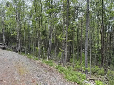 Lot 4 Ghastly Job Way Wilmington VT 05363