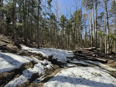 Lot 4 Ghastly Job Way Wilmington VT 05363
