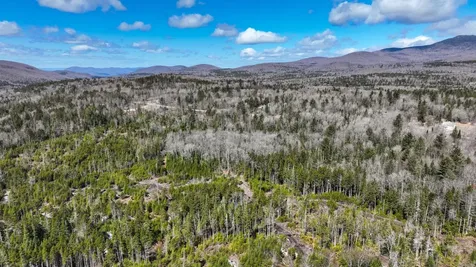 8856 Cold River Road Shrewsbury VT 05738