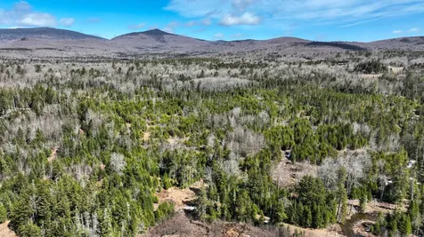 8856 Cold River Road Shrewsbury VT 05738