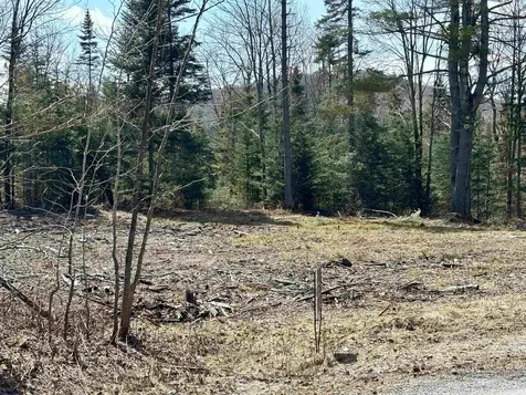 8856 Cold River Road Shrewsbury VT 05738