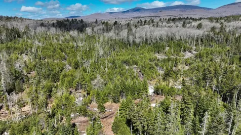 8856 Cold River Road Shrewsbury VT 05738