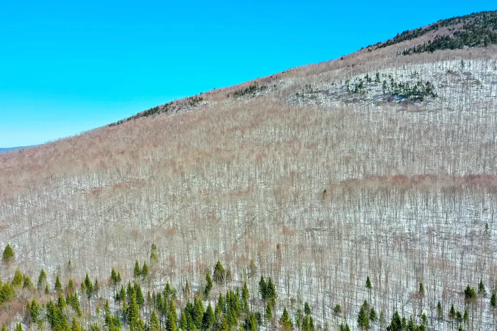 0 Mines Road Lowell VT 05847